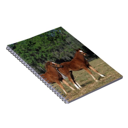 Groep Thoroughbred Foals Notitieboek (Rechterzijde)