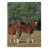 Groep Thoroughbred Foals Notitieboek (Voorkant)