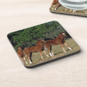 Groep Thoroughbred Foals Onderzetter (Linkerzijde)