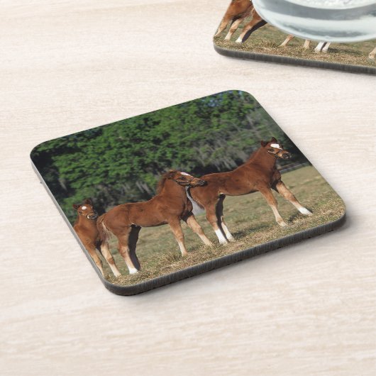 Groep Thoroughbred Foals Onderzetter (Linkerzijde)