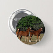 Groep Thoroughbred Foals Ronde Button 5,7 Cm (Voorkant /achterkant)