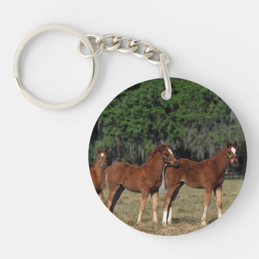 Groep Thoroughbred Foals Sleutelhanger (Voorkant)