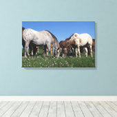 Groep van Appaloosa-paarden Grazing Canvas Afdruk (Insitu (Houten vloer))