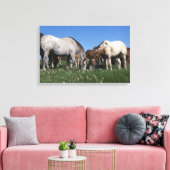 Groep van Appaloosa-paarden Grazing Canvas Afdruk (Insitu (Woonkamer))