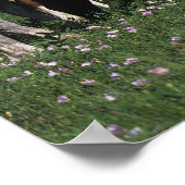 Groep van Appaloosa-paarden Grazing Poster (Hoek)