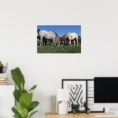Groep van Appaloosa-paarden Grazing Poster (Thuiskantoor)