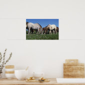 Groep van Appaloosa-paarden Grazing Poster (Keuken)
