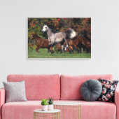 Groep van Arabische paarden Canvas Afdruk (Insitu (Woonkamer))