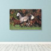 Groep van Arabische paarden Canvas Afdruk (Insitu (Houten vloer))