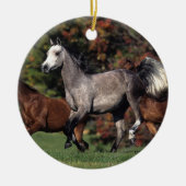 Groep van Arabische paarden Keramisch Ornament (Voorkant)