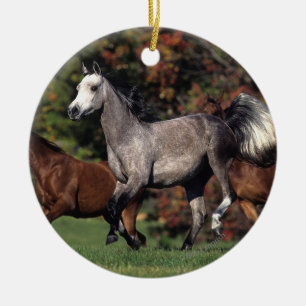 Groep van Arabische paarden Keramisch Ornament