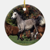 Groep van Arabische paarden Keramisch Ornament (Achterkant)