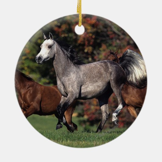 Groep van Arabische paarden Keramisch Ornament (Achterkant)