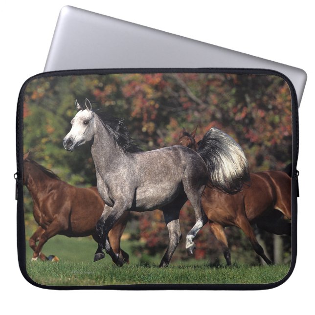 Groep van Arabische paarden Laptop Sleeve (Voorkant)