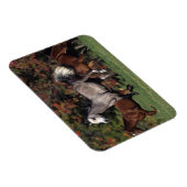 Groep van Arabische paarden Magneet (Rechterzijde)