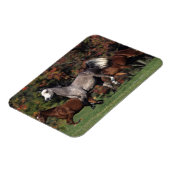 Groep van Arabische paarden Magneet (Linkerzijde)