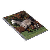 Groep van Arabische paarden Notitieboek (Rechterzijde)