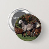 Groep van Arabische paarden Ronde Button 5,7 Cm (Voorkant /achterkant)