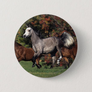 Groep van Arabische paarden Ronde Button 5,7 Cm