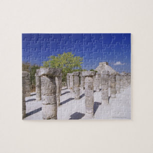 Groep van de Duizenden Kolommen bij de Tempel van Legpuzzel
