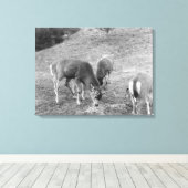 Groep van Deer bij de Foto van de Hete van Kwestie Canvas Afdruk (Insitu (Houten vloer))