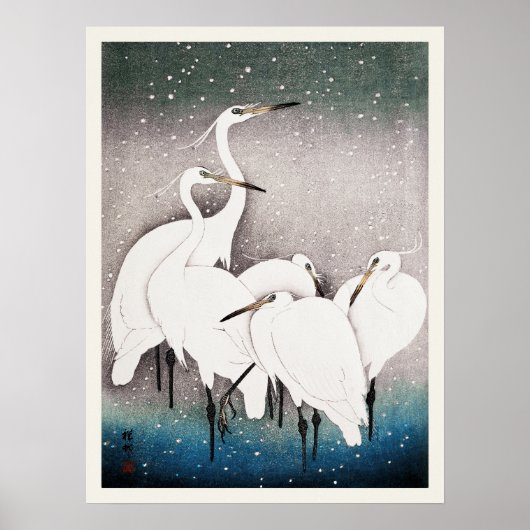 Groep van Egrets Ohara Koson Japanse Vogelprint Poster (Voorkant)