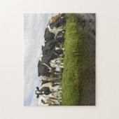 Groep van Friesse koeien Legpuzzel (Verticaal)
