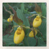 Groep van gouden damesbloemen glazen onderzetter (Voorkant)