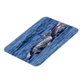 Groep van knelpuntdolfijnen magneet (Linkerzijde)