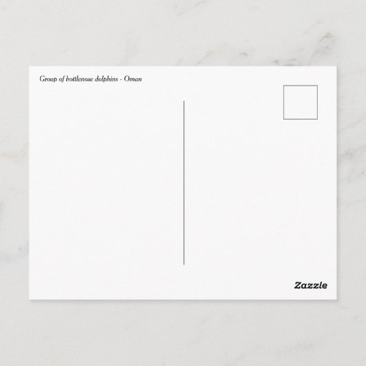 Groep van knelpuntdolfijnen - Oman Briefkaart (Achterkant)
