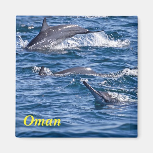 Groep van knelpuntdolfijnen - Oman Magneet (Voorkant)