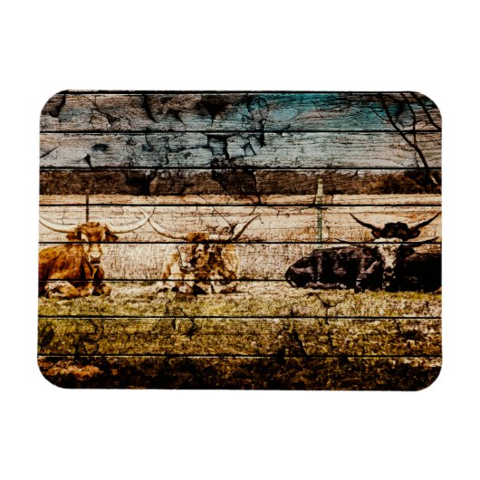 Groep van Longhorns die in Gebied Noodlijdend Hout Magneet (Horizontaal)