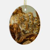 Groep van Mongoolse Gerbils Meriones Unguiculatus Keramisch Ornament (Rechts)