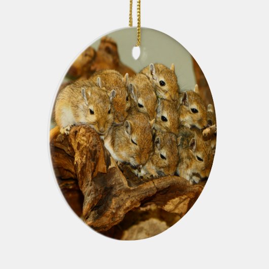 Groep van Mongoolse Gerbils Meriones Unguiculatus Keramisch Ornament (Rechts)