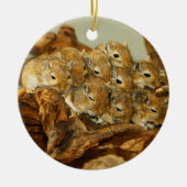 Groep van Mongoolse Gerbils Meriones Unguiculatus Keramisch Ornament (Voorkant)