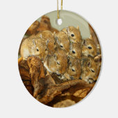 Groep van Mongoolse Gerbils Meriones Unguiculatus Keramisch Ornament (Links)