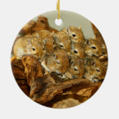 Groep van Mongoolse Gerbils Meriones Unguiculatus Keramisch Ornament (Achterkant)