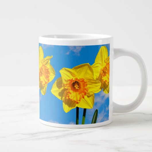 Groep van narcissen Gouden Medaille bloem Speciali Grote Koffiekop (Rechts)