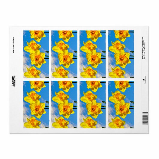 Groep van narcissen gouden medaille bloemen etiket (Full Sheet)