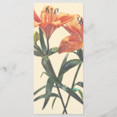 Groep van oranje lelies menu (Achterkant)