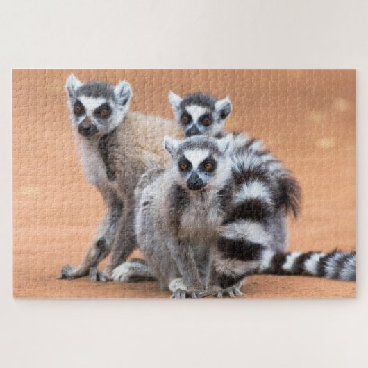 Groep van ringvormige mazen legpuzzel (Horizontaal)