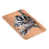 Groep van ringvormige mazen magneet (Rechterzijde)