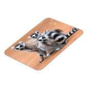 Groep van ringvormige mazen magneet (Linkerzijde)