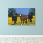 Groep van Thoroughbred Horses Canvas Afdruk (Insitu (Houten vloer))