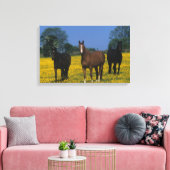 Groep van Thoroughbred Horses Canvas Afdruk (Insitu (Woonkamer))