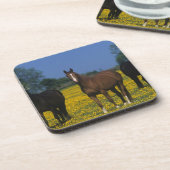 Groep van Thoroughbred Horses Drankjes Onderzetter (Linkerzijde)