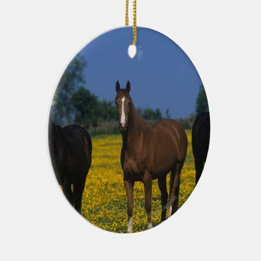 Groep van Thoroughbred Horses Keramisch Ornament (Rechts)