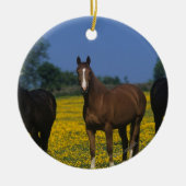 Groep van Thoroughbred Horses Keramisch Ornament (Voorkant)