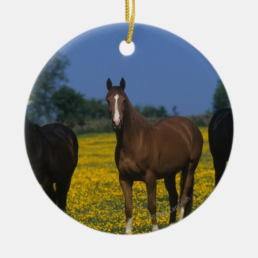 Groep van Thoroughbred Horses Keramisch Ornament (Voorkant)