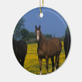 Groep van Thoroughbred Horses Keramisch Ornament (Links)